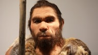 Nachbildung eines Neandertalers