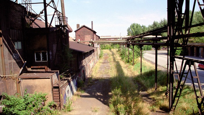 Verwildertes Firmenareal in Dortmund