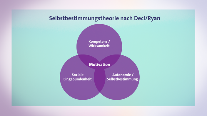 Modell: Selbstbestimmungstheorie nach Deci/Ryan