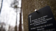 Schilder an einem Baum im Friedwald in Mühlenbeck