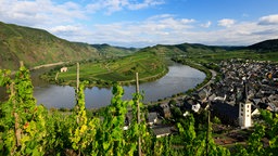 Weinhang an der Mosel.