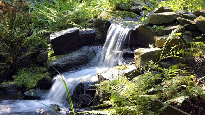 Kleiner Wasserfall im Wald