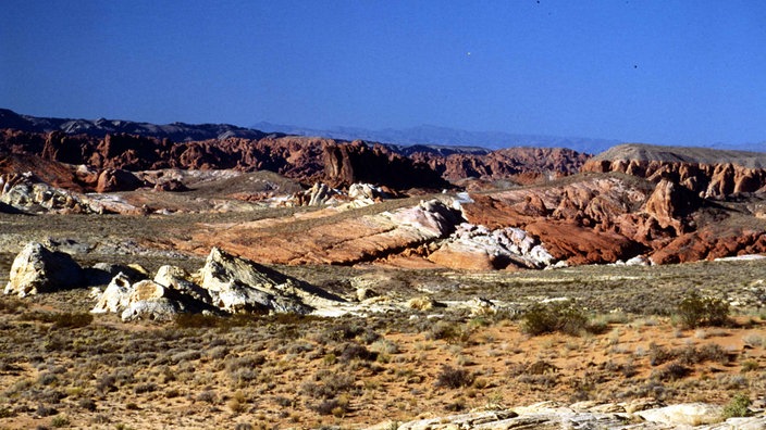 Nordamerikanische Wüstenlandschaft mit spärlichem Bewuchs und roten Felsen.