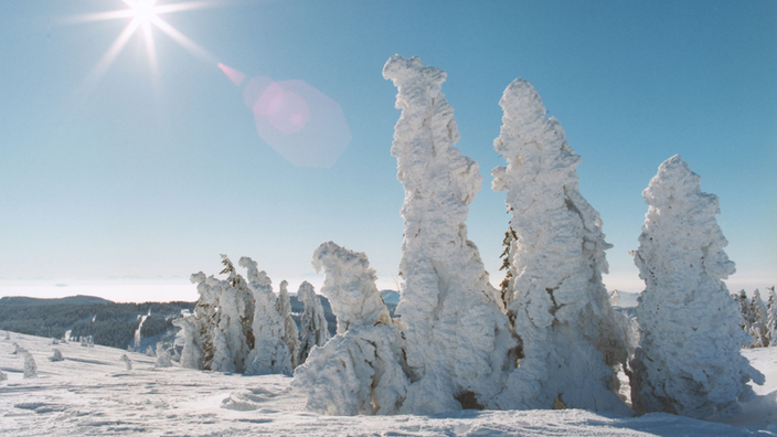 Der Feldberg im Schwarzwald im Schnee