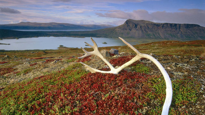 Landschaft in Lappland.