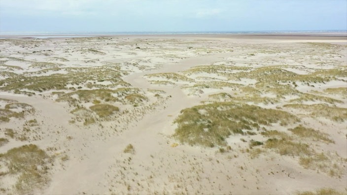 Screenshot aus dem Film "Die Kachelotplate – Eine neue Insel im Wattenmeer?"