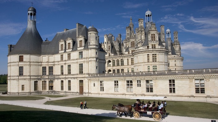 Blick durch den Wald auf Chambord