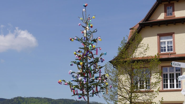 Ein bunt geschmückter Maibaum vor einem Fachwerkhaus.