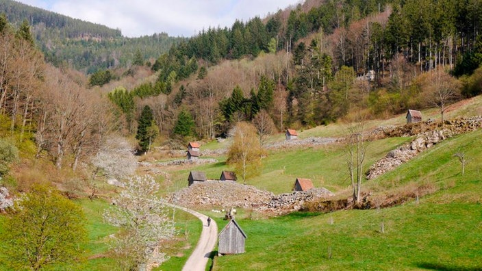 Offenes Tal mit Wiesen, auf denen mehrere kleine Heuhütten stehen.