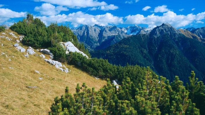 Der Blick auf die Lechtaler Alpen