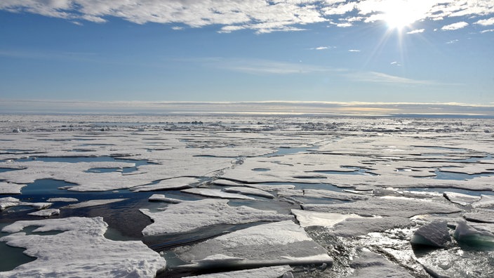 Auf dem Arktischen Ozean am Nordpol schwimmen mehrere Eisplatten