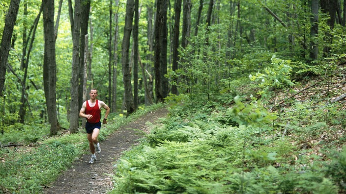 Ein Jogger läuft einen Waldweg entlang 