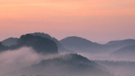 Nebliger Wald bei Sonnenaufgang