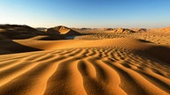 Wellige, gelbe Sanddünen erstrecken sich unter einem blauen Himmel.