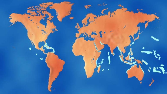 Die Grafik zeigt eine Weltkarte, auf der Regionen mit großen Korallenriffen markiert sind