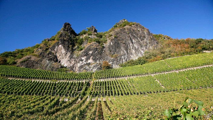 Der Drachenfels am Rhein