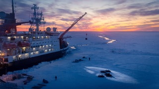 Die Polarstern im Abendlicht