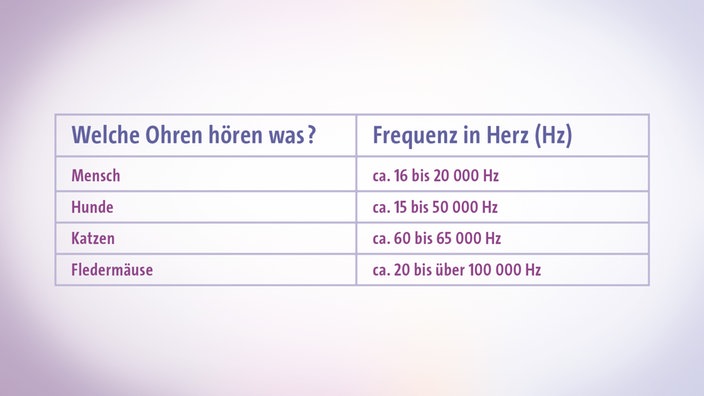 Tabelle über den Frequenzbereich, in welchem verschiedene Lebewesen hören können