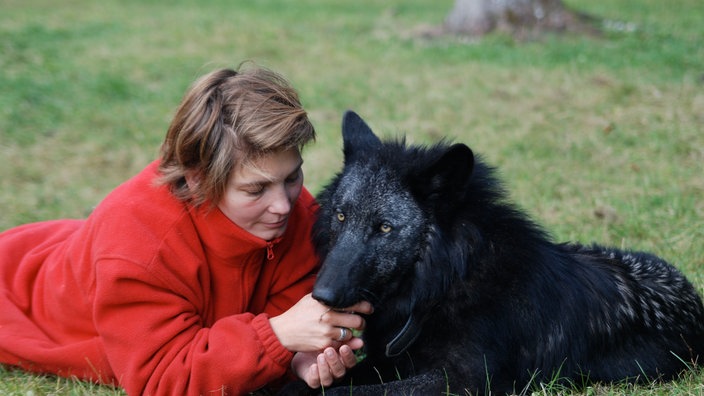 Friederike Range liegt neben handaufgezogenem Wolf