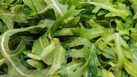 Rucola-Salat.