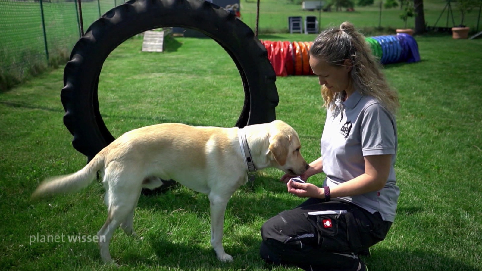 Hund mit Tiertrainerin 