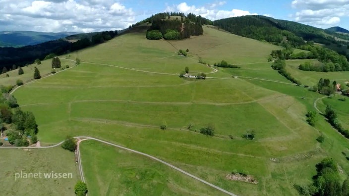 Große Weidefläche an einer Erhebung im Hochschwarzwald.