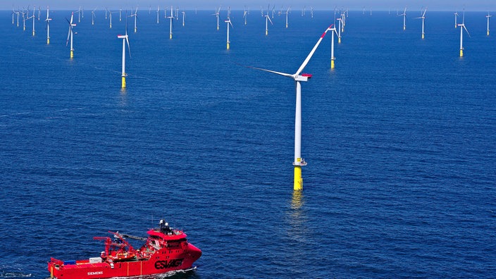 Zahlreiche Windturbinen auf dem Meer