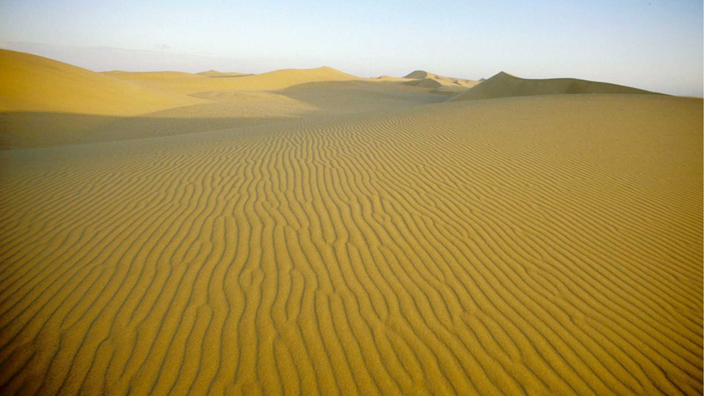 Eine Sanddüne in der Wüste