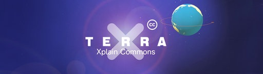 Terra X Logo